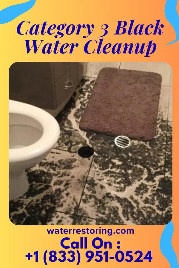 Category 3 Black Water Cleanup in Shickshinny, PA