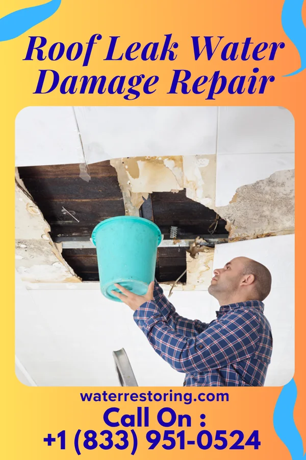 Roof Leak Water Damage Repair in Shickshinny, PA